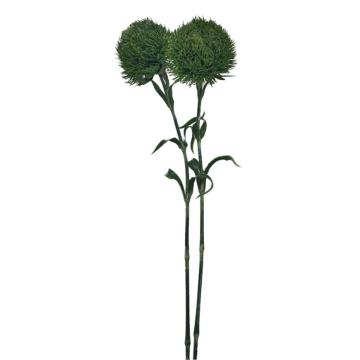 Dandelion Single - Hijau Tua
